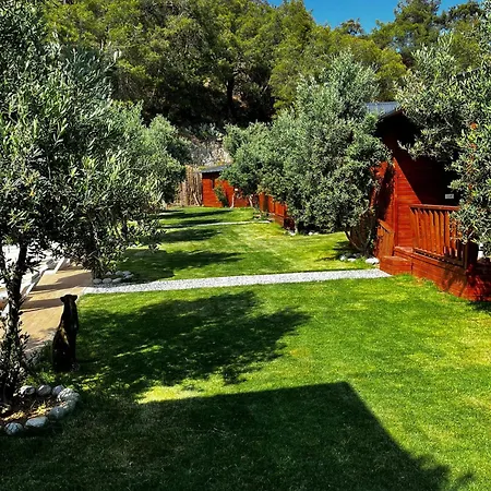 Obelix * Φετιγιέ