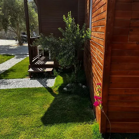 Obelix Φετιγιέ